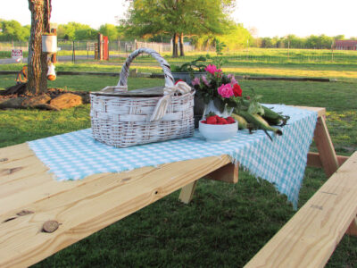DIY Picnic Table Plans Image